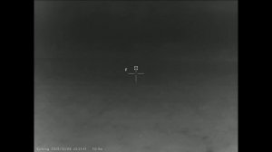 Sytong ММ06-50LRF Лисы и мыши