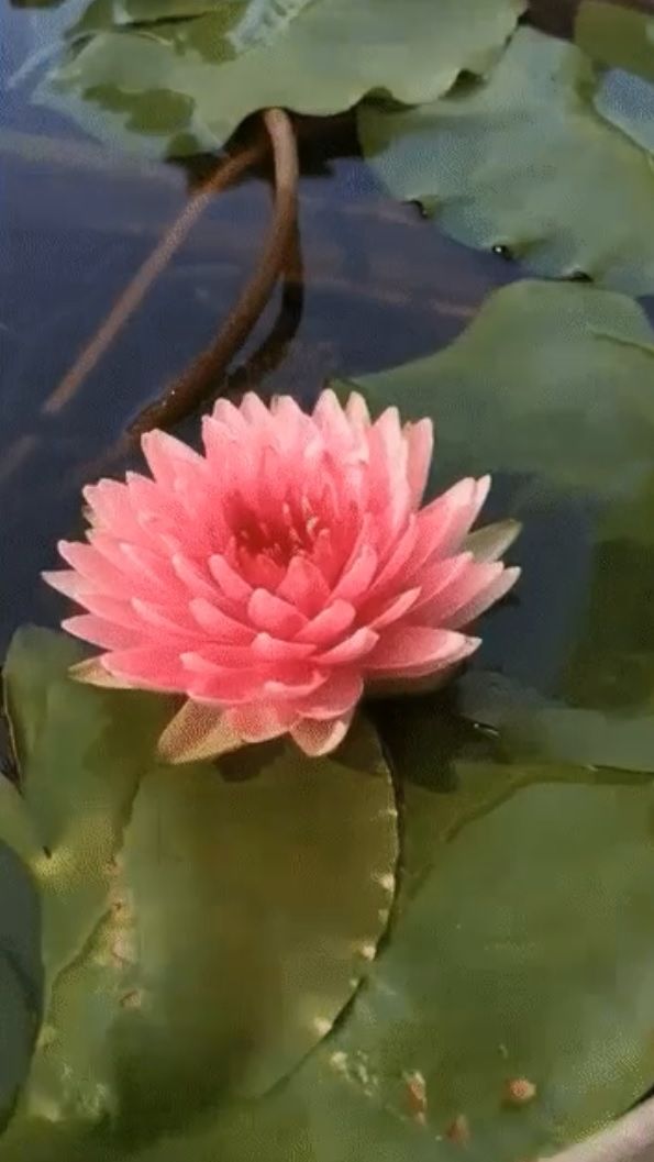 Тебя ценят ... смотреть онлайн