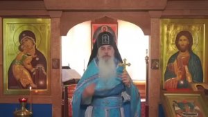 Схиигумен Гавриил - Психические болезни - что это