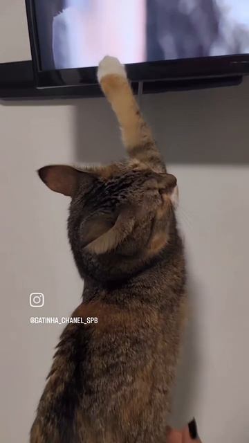 Встреча Шани с оленями в новом сезоне 🥰🦌