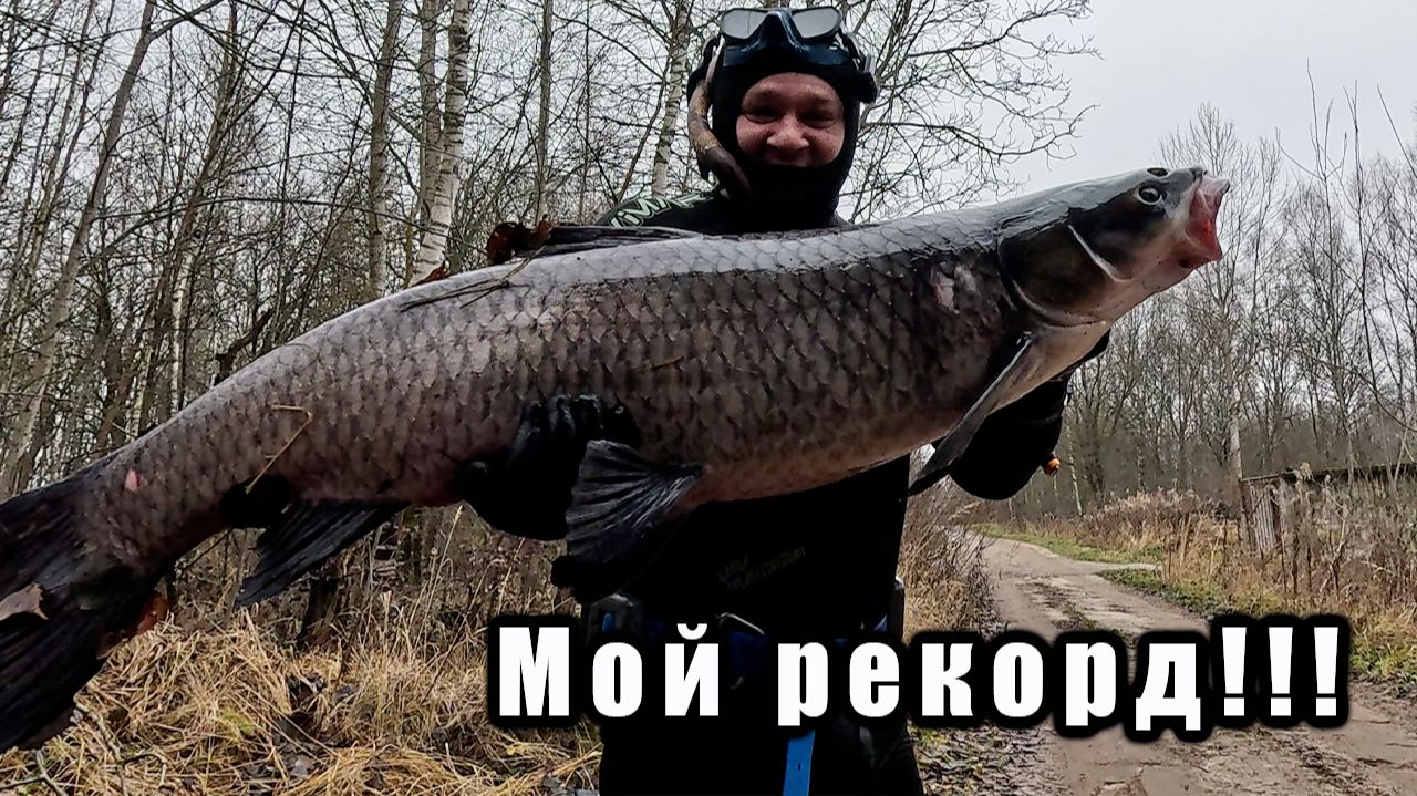 ТРОФЕЙНАЯ ПОДВОДНАЯ ОХОТА!!! РЕКОРДНЫЙ ЧЕРНЫЙ АМУР!!!ЛУЧШИЕ МОМЕНТЫ ТРОФЕЙНОЙ ОХОТЫ!! смотреть онлайн