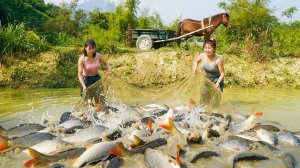 С сестрой наловили много сомов, чтобы продать на рынке.