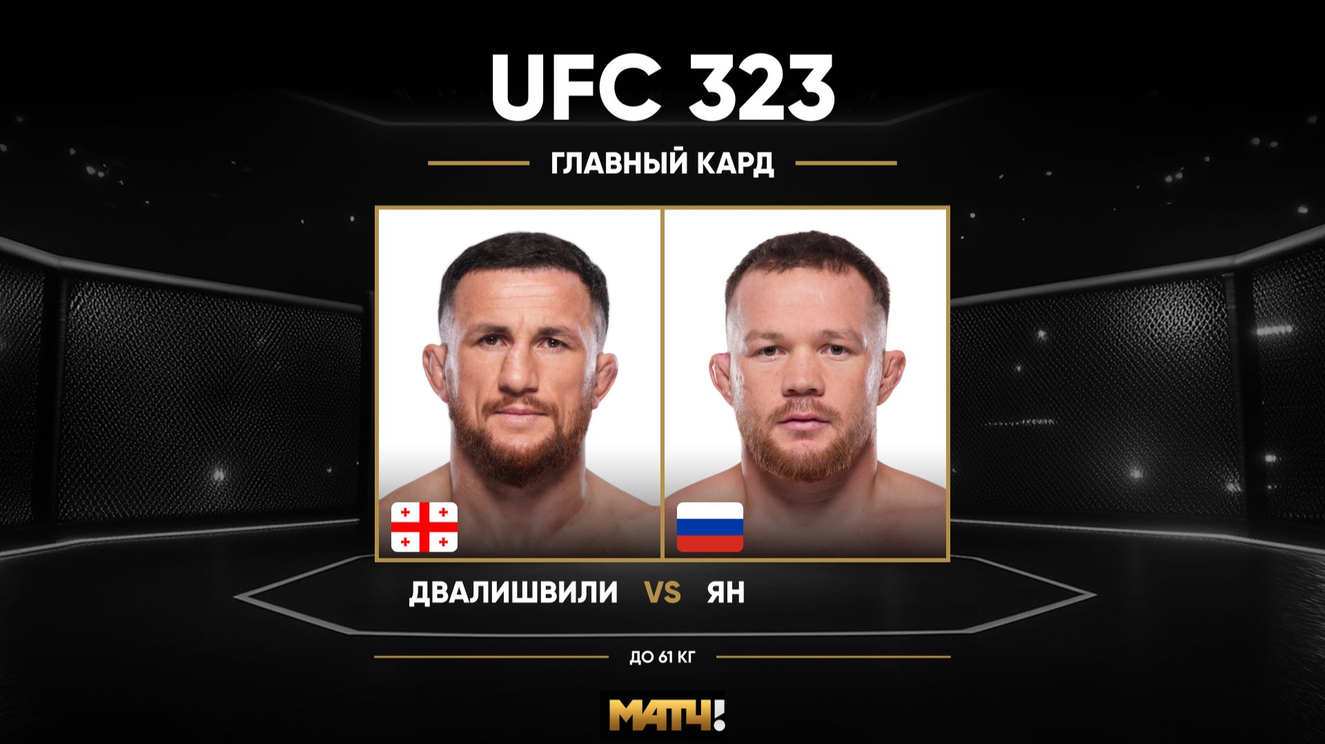 Петр Ян против Мераба Двалишвили (видео). UFC 323 смотреть онлайн