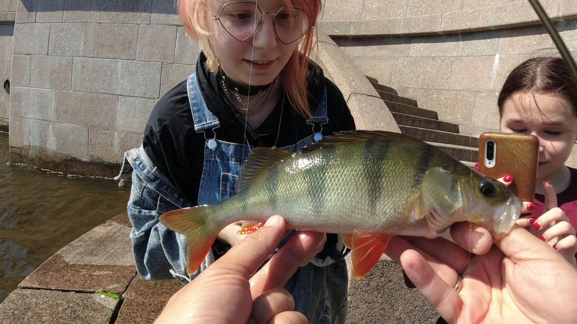 | Толстые Невские окуни | Graphiteleader Bellezza GLABS-602SXUL | смотреть онлайн