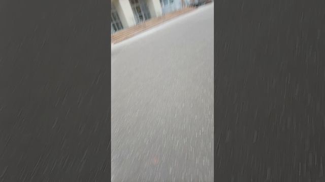 Идём по моему городу в экзотариум смотреть онлайн