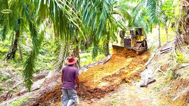 Строительство, расчистка дороги в лесу, обзор смотреть онлайн