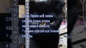 эх.