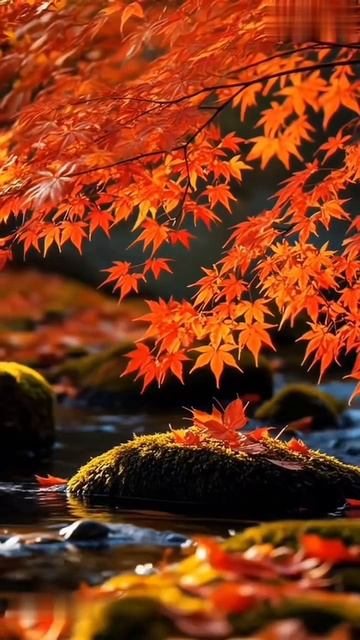 Немного красивой природы.Релакс. смотреть онлайн