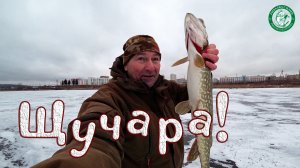 ЗАПИНДЮРИЛ ЖЕРЛИЦЫ, НАБУРИЛ ЛУНКИ ПОД ОКУНЯ И НАЧАЛОСЬ!  ТО ТАМ, ТО ТАМ, КРАСОТА, ОТЛИЧНО ПОЛОВИЛ!