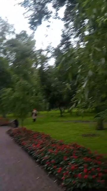 Аллея в парке смотреть онлайн