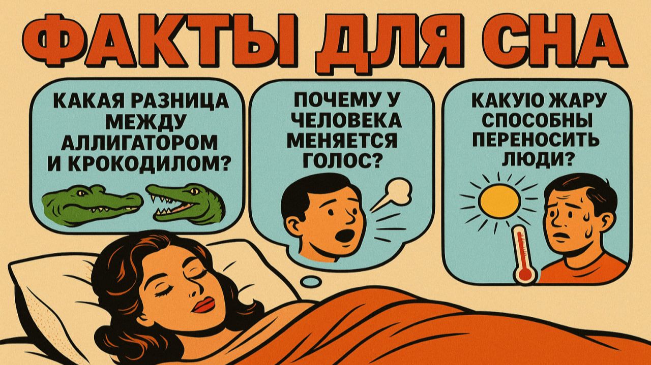 Название: Факты для сна: ответы на вопросы, которые приходят перед сном – быстро уснуть легко смотреть онлайн