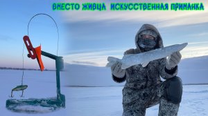 ВМЕСТО ЖИВЦА  ИСКУССТВЕННАЯ ПРИМАНКА #рыбалка #щука #deeper #зимняярыбалка