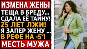 Я 25 лет растил НЕ СВОЕГО сына! Узнав правду от тещи, я превратил жизнь жены в АД!  Измена жены.