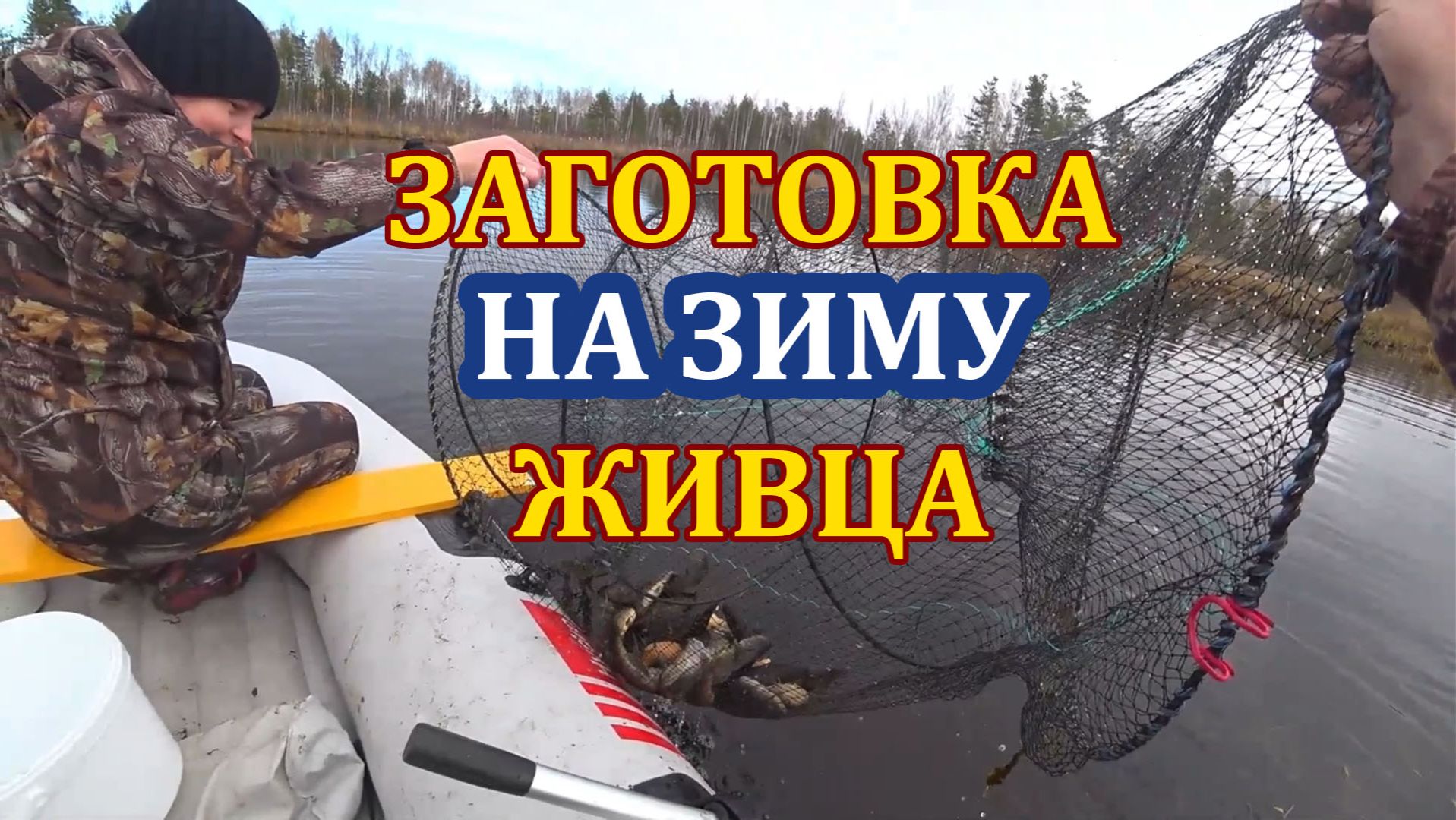 Ловим гольян. Запасаюсь живцом для зимней рыбалки. Хранение живца. смотреть онлайн