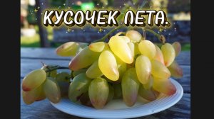 КУСОЧЕК ЛЕТА.