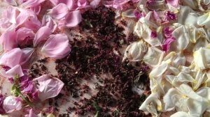 ЧЕМ ПОЛЕЗЕН ЧАЙ ИЗ ЛЕПЕСТКОВ РОЗ