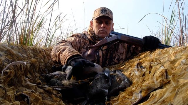 Охота с Wild Duck Club