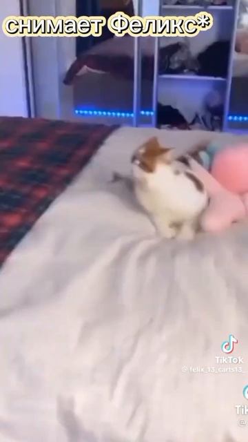 07-12-2025 смотреть онлайн