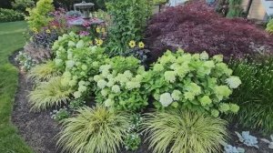 САДЫ США  САД МЕЧТЫ  От голого двора к саду мечты 13 лет спустя ИЮЛЬ  2025