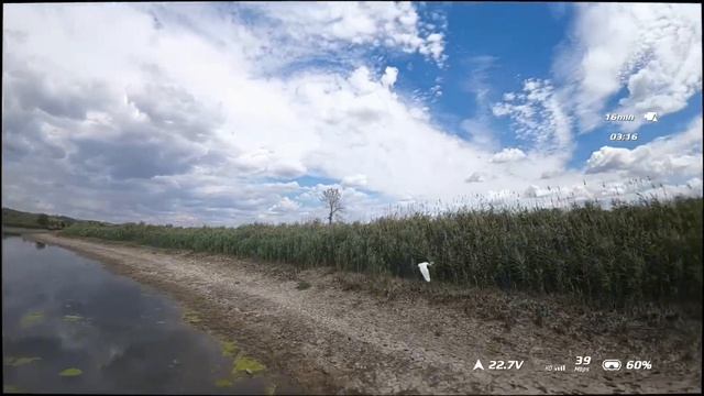 Fpv#aos3,5#o3unit#dji#t-motors#argusF7
