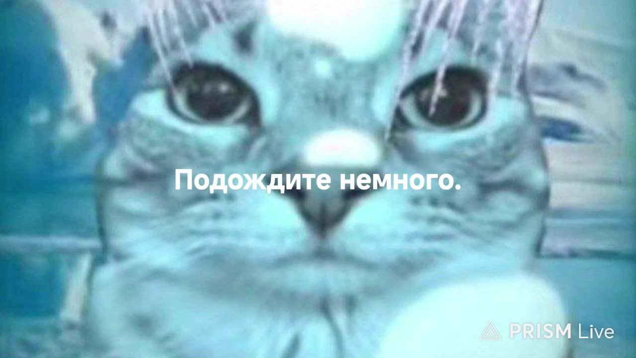 Говорящий том 2 доходим до 15 лвл смотреть онлайн