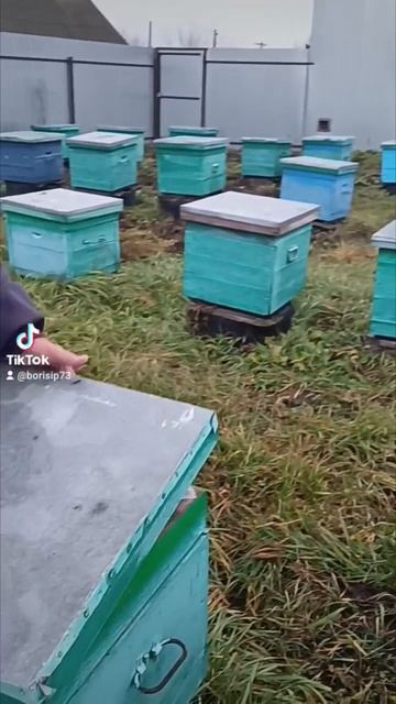 🐝❄️❤️🐝❄️❤️🐝❄️❤️ смотреть онлайн