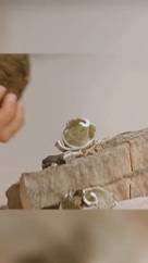 Я сделала всё чтобы выжить смотреть онлайн