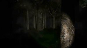 [Вилли]😱КАК МЕНЯЛИСЬ ХОРРОР ИГРЫ? 1981-2025