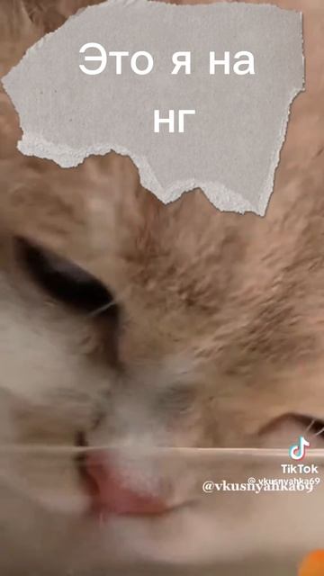 Идея моя это канал Vkusnyahka69 TikTok