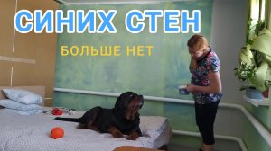 Пока погода психует наклеила обои наизнанку. 37 серия