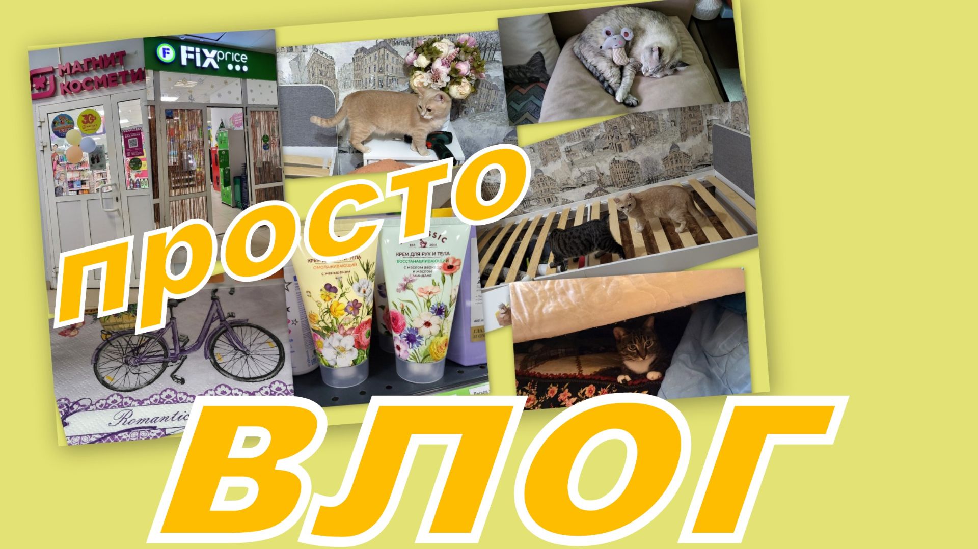 ВЛОГ: НАВОДИМ ПОРЯДОК, ГУЛЯЕМ ПО МАГАЗИНАМ...НЕ ПОКЛАДАЯ ПУШИСТЫХ ЛАП... смотреть онлайн