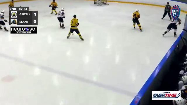 GRIZZLY - SKANTZOCHOIROS