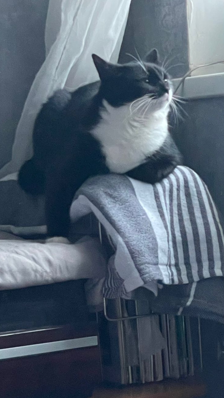 спасибо вам большое зайки♥️♥️