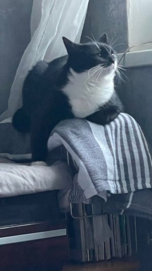 спасибо вам большое зайки♥️♥️