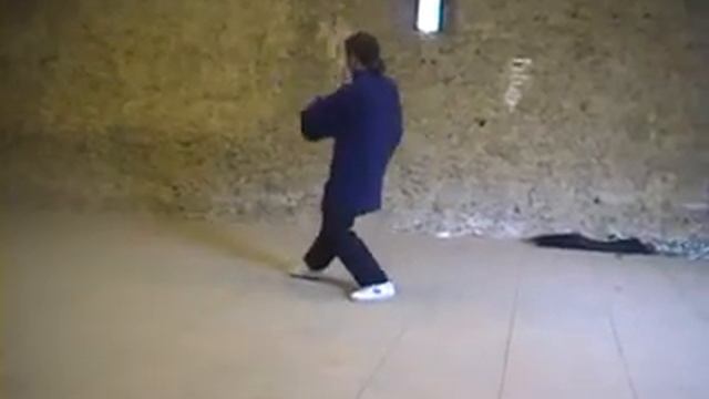 Taichi Chuan Style Tung Fast Form