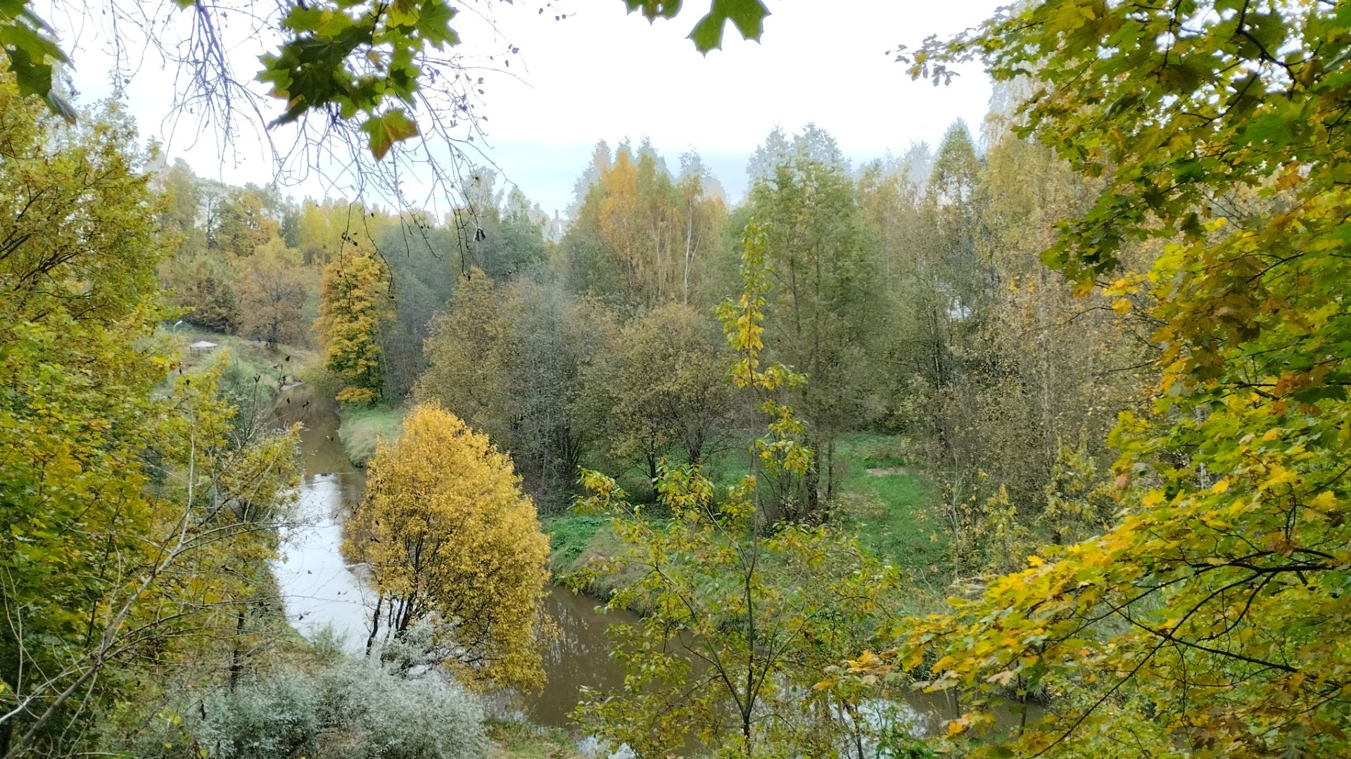 Восточное Мурино смотреть онлайн