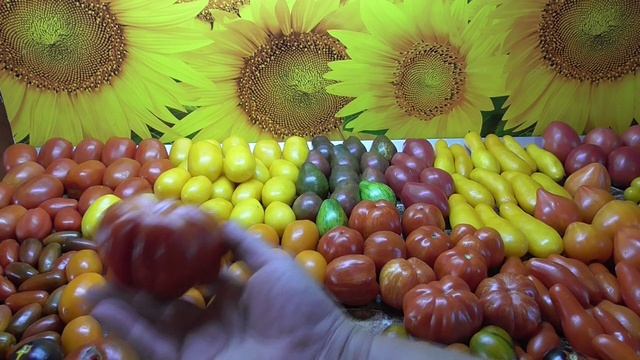 Какие томаты идеально подходят для консервирования. Рассказываю и показываю. смотреть онлайн