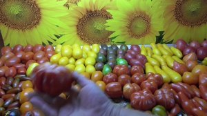 Какие томаты идеально подходят для консервирования. Рассказываю и показываю.