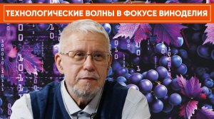 ТЕХНОЛОГИЧЕСКИЕ ВОЛНЫ В ФОКУСЕ ВИНОДЕЛИЯ. СЕРГЕЙ ПЕРЕСЛЕГИН