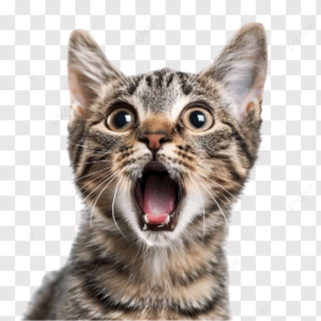 бпла страх жесть