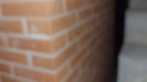 Погода в доме из арболита без отопления.