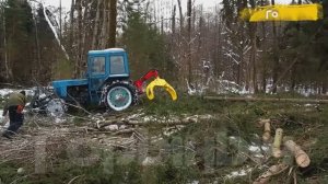 ГОРЫНЫЧ Захват Нож-Толкатель МТЗ 82. Работа в лесу, в реальных условиях. тел. 8(910) 860-47-74-(720p