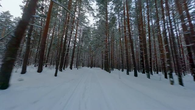 Sunday Relaxation/Воскресный релакс