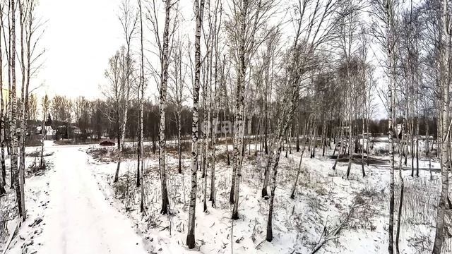 10568186 смотреть онлайн
