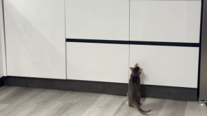Блюз Люций Ямальская Каны новый клип