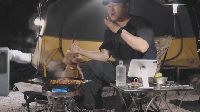 32℃ Одиночный кемпинг жарким летом . Уютный отдых с собакой . Лесные птицы ASMR смотреть онлайн