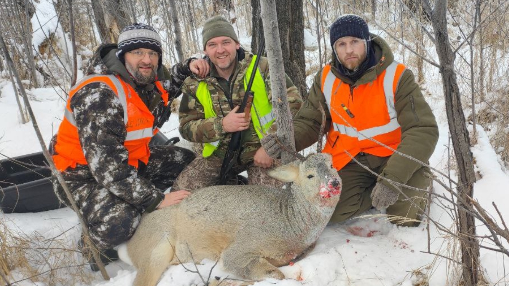 ОХОТА НА СИБИРСКУЮ КОСУЛЮ / ДОБЫЛИ КОСУЛЮ / ЗАГОННАЯ ОХОТА / ХОРОШИЙ ТРОФЕЙ смотреть онлайн