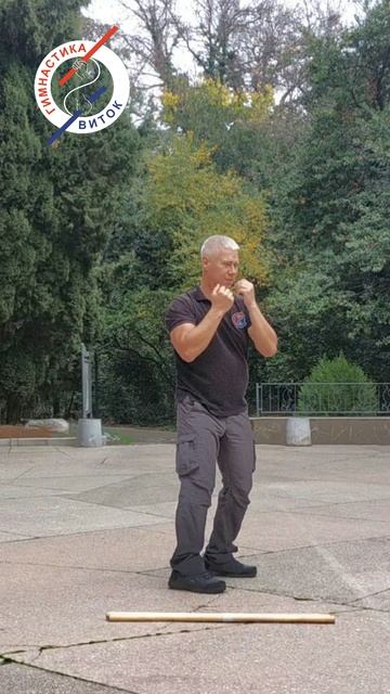 Упражнение Боксёр 22 11 25 гимнастика виток