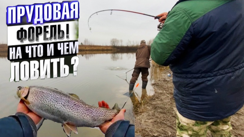 ПРУДОВАЯ ФОРЕЛЬ!На что и чем ЛОВИТЬ?ЗАКРЫТИЕ СЕЗОНА 2025? смотреть онлайн