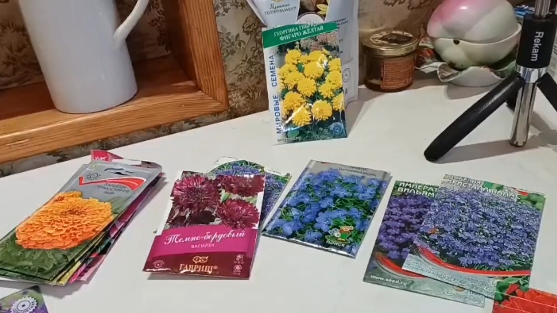 Ира мечтает о будущих однолетниках. 07-12-2025 смотреть онлайн